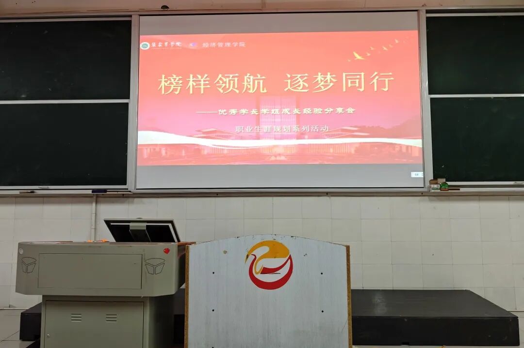 86203